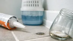 How to get rid of silverfish in the bathroom by controlling humidity