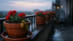 The one watering mistake that ruins potted geraniums (and how to fix it fast)