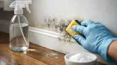 How to remove wall mold naturally with vinegar and baking soda