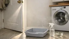 How to clean a litter box with white vinegar (and stop that ammonia smell)