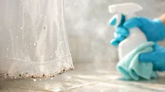 How to clean mold and mildew off a shower curtain fast